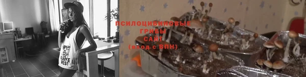 СК Мегион
