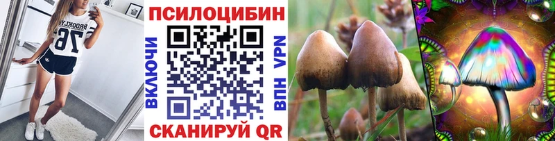 магазин    Иланский  кракен ONION  Псилоцибиновые грибы Psilocybe 